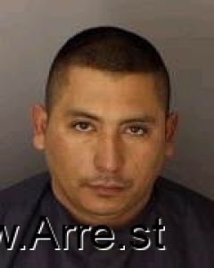Berklin Alfaro Arrest Mugshot