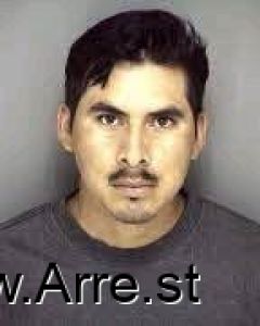 Evelmar Alvarez Arrest Mugshot