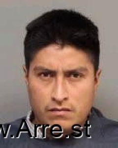 Ever Gonzalez Arrest Mugshot