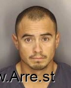 Ines Gonzales Arrest Mugshot