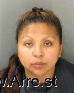 Monique Falcon Arrest Mugshot