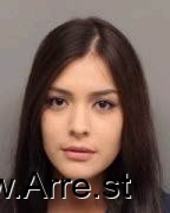Morgan Flores Arrest Mugshot