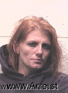 Tina Hudson Arrest Mugshot